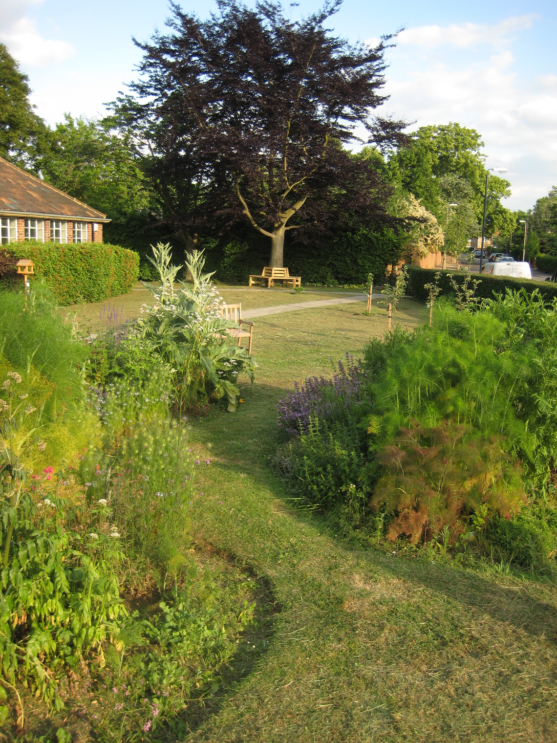 Ham Library Garden Late summer 2009