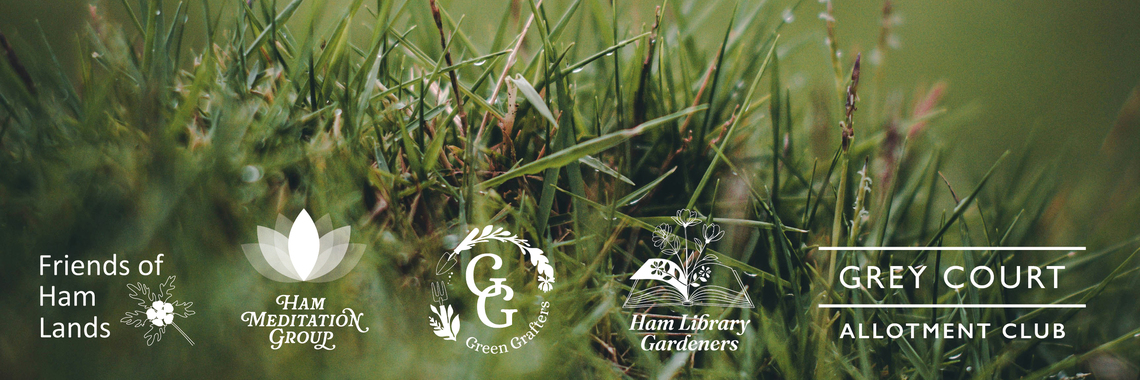 Logos on wet long grass