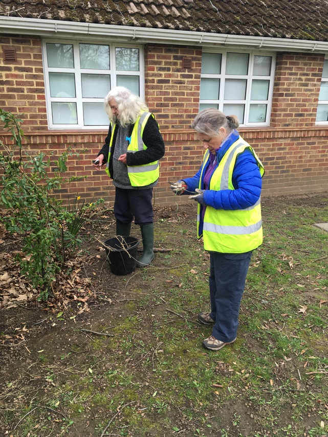 Volunteers cutting shrubs