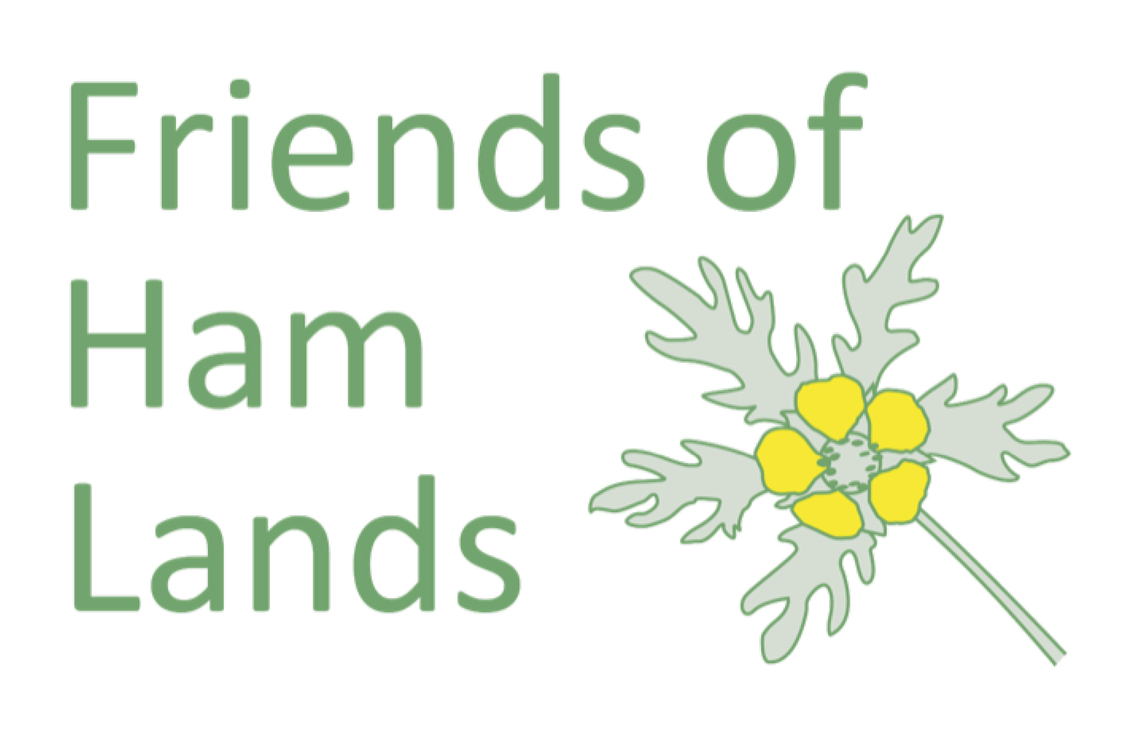 Logo Friends of Ham Lands illustration word mark with unique Ham Lands flower