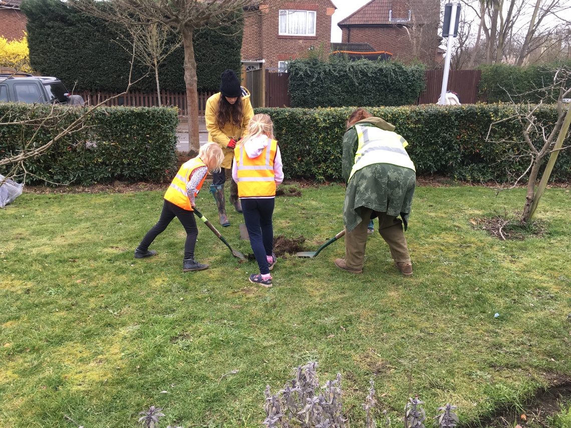 Volunteers planting step over apple trees