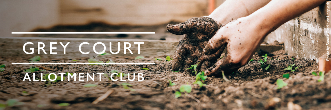 Young hands in soil planting seedlings