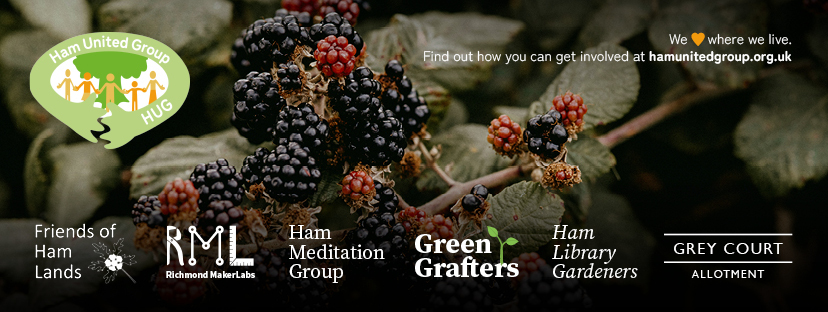 Website banner Blackberries