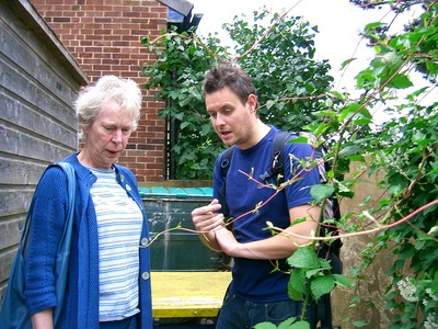 Planning the Allotment