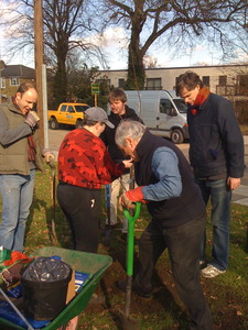 Planting Crab Apple trees on the corner of Craig / Randel Road