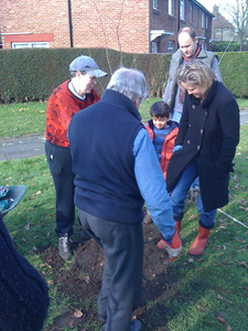 Planting Crab Apple trees on the corner of Craig / Randel Road