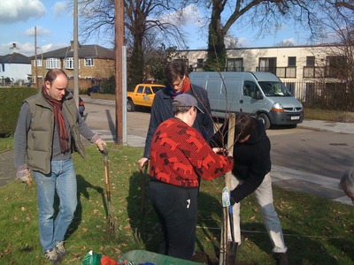 Planting Crab Apple trees on the corner of Craig / Randel Road