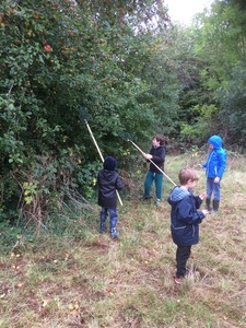Apple Walk September 2019