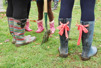 Fruit Tree Planting November 2010